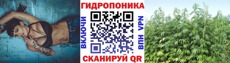 Купить закладку А ПВП  Cocaine  Меф мяу мяу  Бошки Шишки  Гашиш  Гаджиево