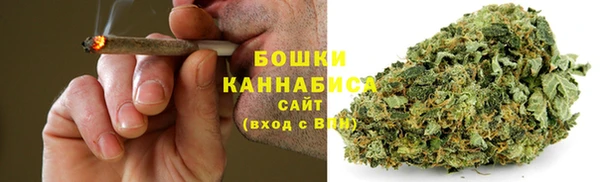 дурь Бронницы