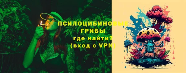 гидропоника Бугульма