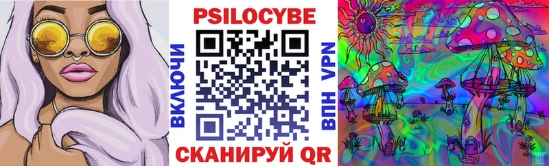 Галлюциногенные грибы GOLDEN TEACHER  Купить закладки  Гаджиево 