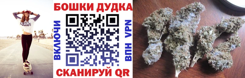 Купить где  Гаджиево  Каннабис SATIVA & INDICA 